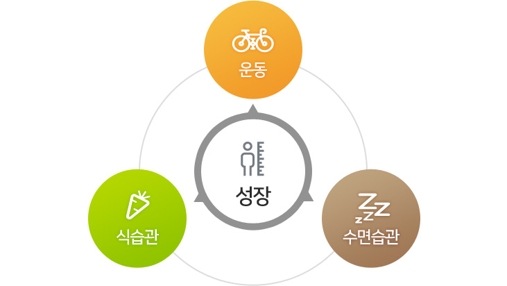 성장에 필요한 요소:운동, 식습관, 수면습관