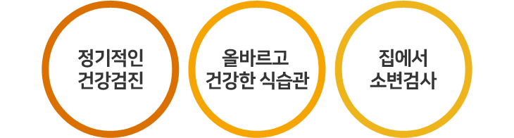 정기적인 건강검진, 올바르고 건강한 식습관, 집에서 소변검사