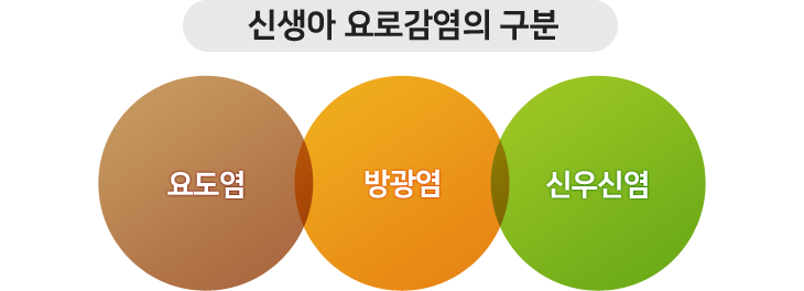 신생아 요로감염의 구분 : 요도염, 방광염, 신우신염